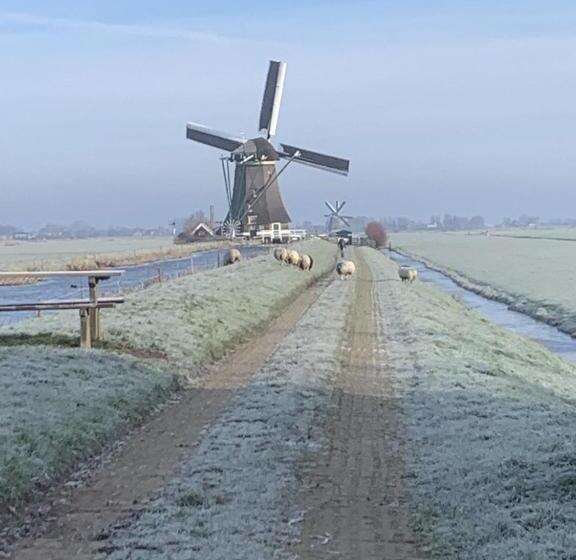 ベッドアンドブレックファースト Aangenaam Op De Rijn, Woonboot, Inclusief Privé Sauna