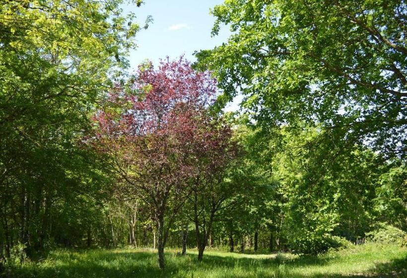 ベッドアンドブレックファースト Duc Manoir Chambres D Hôtes