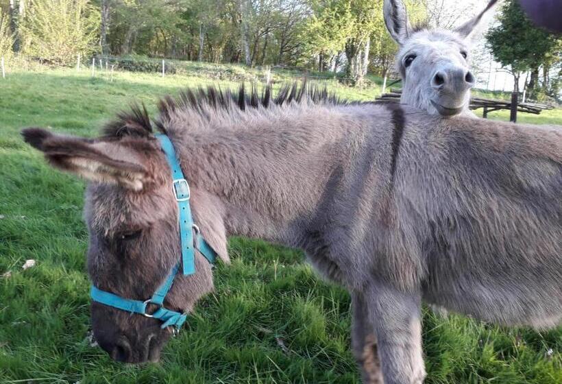 ベッドアンドブレックファースト Duc Manoir Chambres D Hôtes