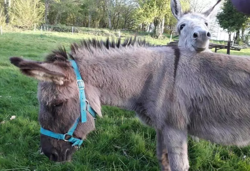Aamiaismajoitus (B&B) Duc Manoir Chambres D Hôtes