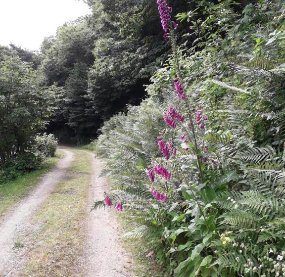 ベッドアンドブレックファースト Duc Manoir Chambres D Hôtes