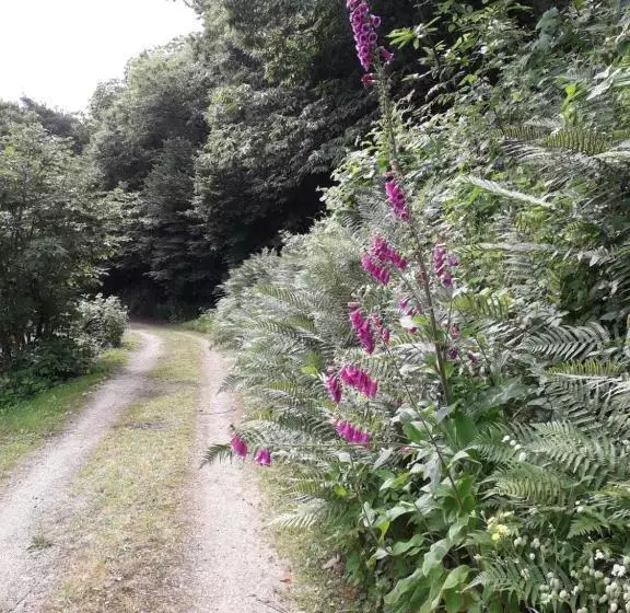 Aamiaismajoitus (B&B) Duc Manoir Chambres D Hôtes