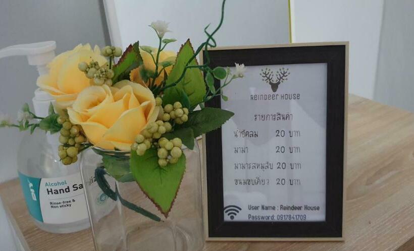 Pensjonat Reindeer House Wat Chedi