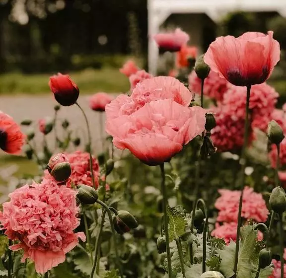 Boutique B&b Erve Hasselo