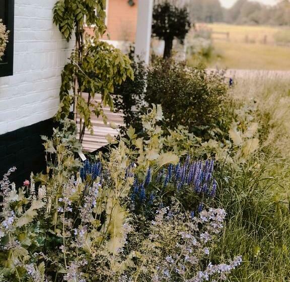 Boutique B&b Erve Hasselo