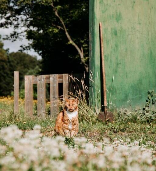 Boutique B&b Erve Hasselo