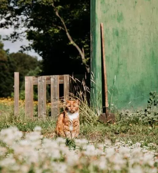 Boutique B&b Erve Hasselo