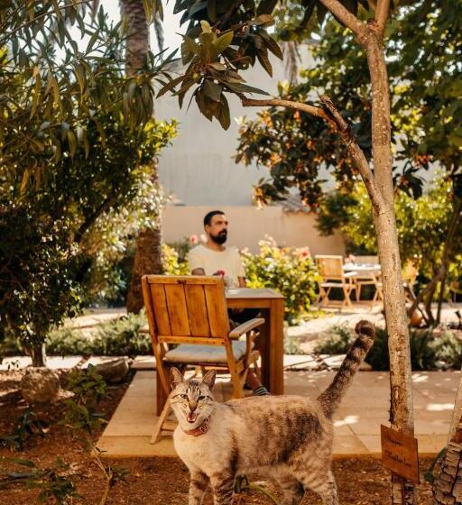 هتل Boutique Can Pocovi