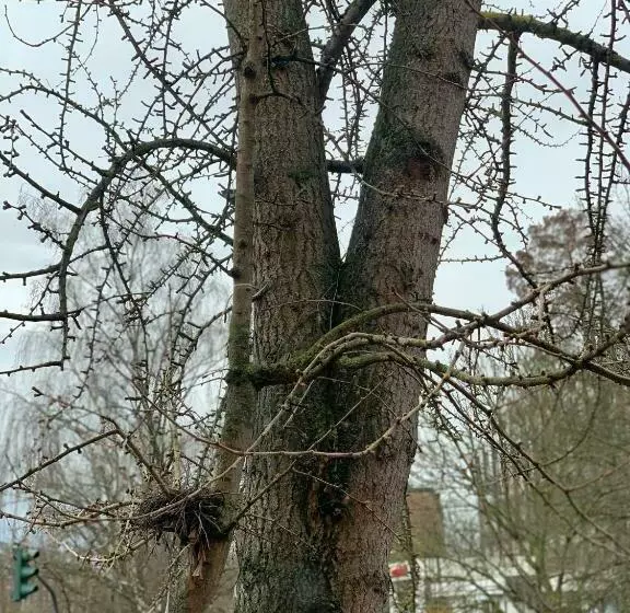 Kapselihotelli Geroweiher Doppelbettzimmer Mönchengladbach Stadtmitte