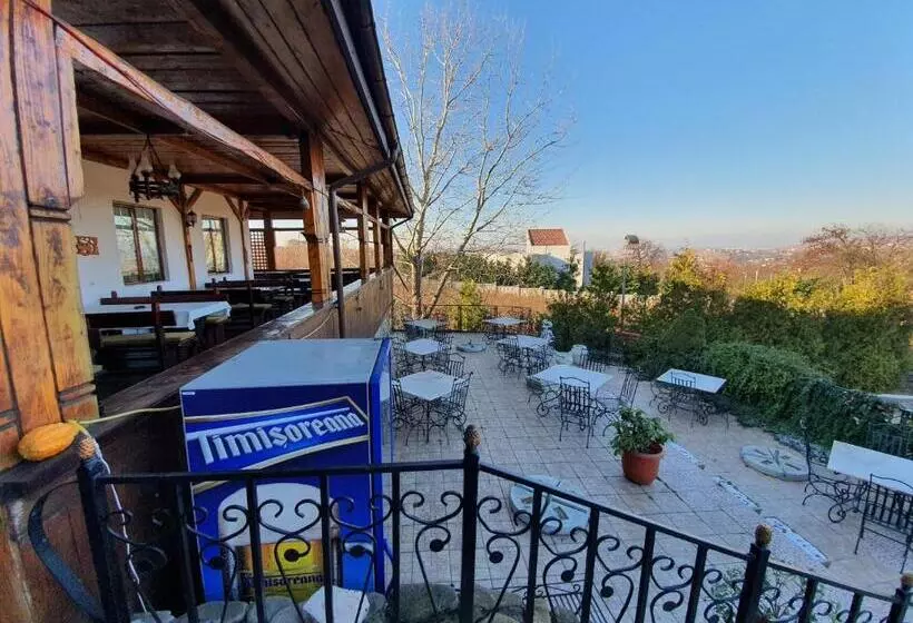 ペンション Casa Boiereasca
