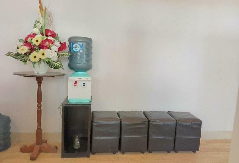 Pensione Dreamstay Guesthouse