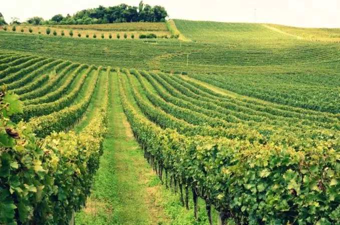 Majatalo Pousada Tedesco