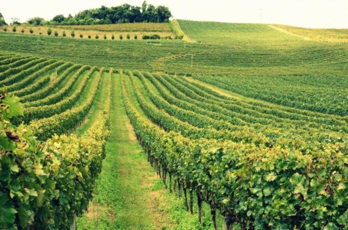 بنسيون Pousada Tedesco