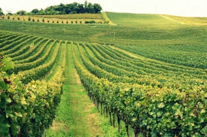 Majatalo Pousada Tedesco