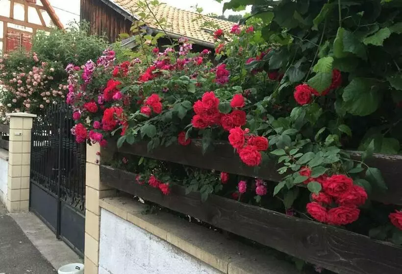 Aamiaismajoitus (B&B) Chambre Spacieuse Dans Joli Village Alsacien