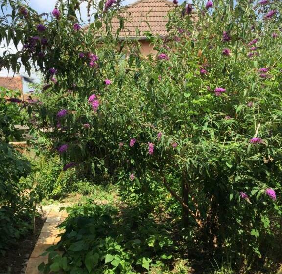 צימר Chambre Spacieuse Dans Joli Village Alsacien