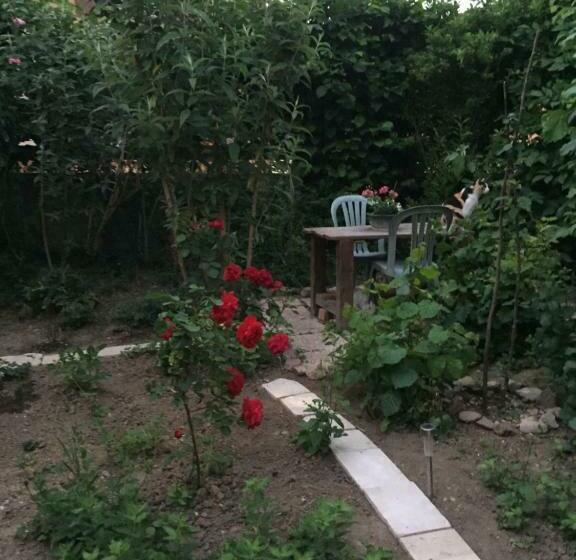 צימר Chambre Spacieuse Dans Joli Village Alsacien