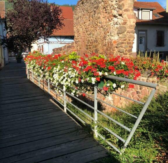 צימר Chambre Spacieuse Dans Joli Village Alsacien