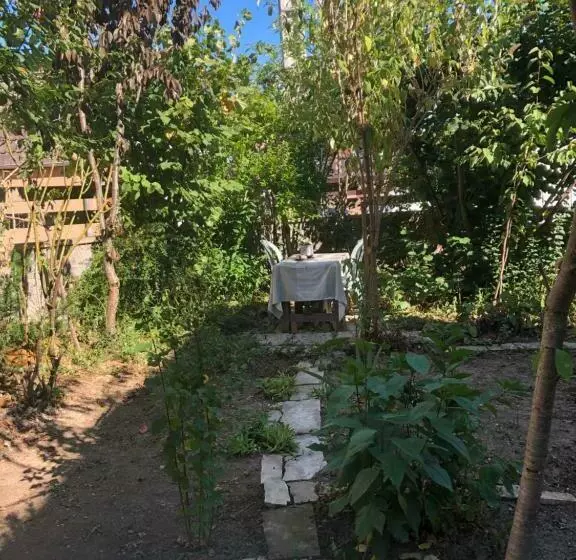 Aamiaismajoitus (B&B) Chambre Spacieuse Dans Joli Village Alsacien