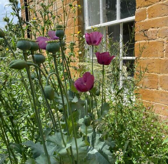 住宿加早餐  The Old Vicarage