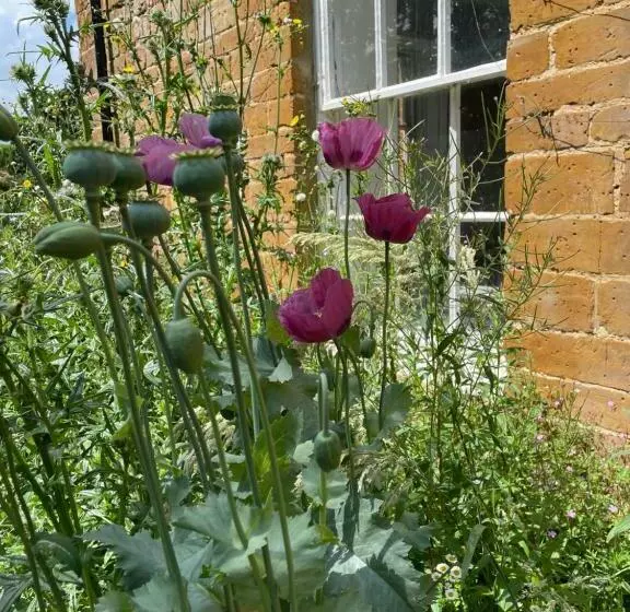 Aamiaismajoitus (B&B) The Old Vicarage