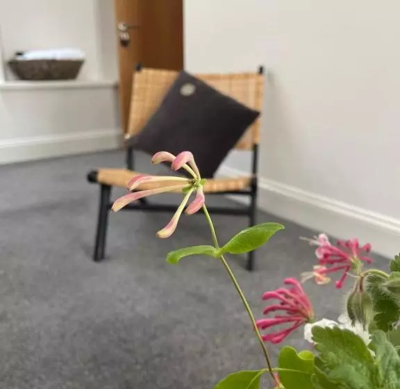 Aamiaismajoitus (B&B) The Old Vicarage