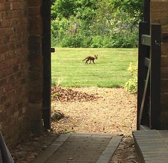 住宿加早餐  The Old Vicarage