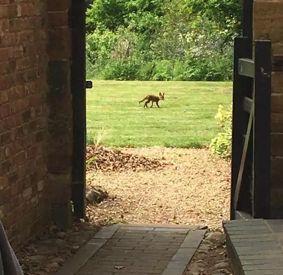 Aamiaismajoitus (B&B) The Old Vicarage