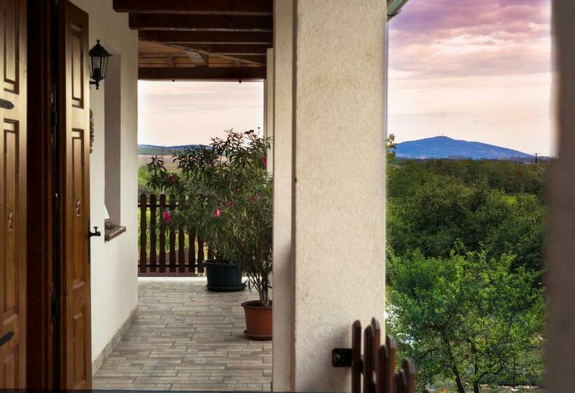 펜션 Hegyaljai Panoráma Vendégház