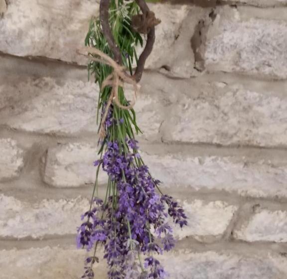 펜션 Hegyaljai Panoráma Vendégház