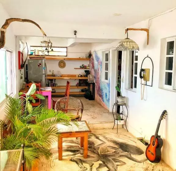 ペンション Mi Refugio Dive House