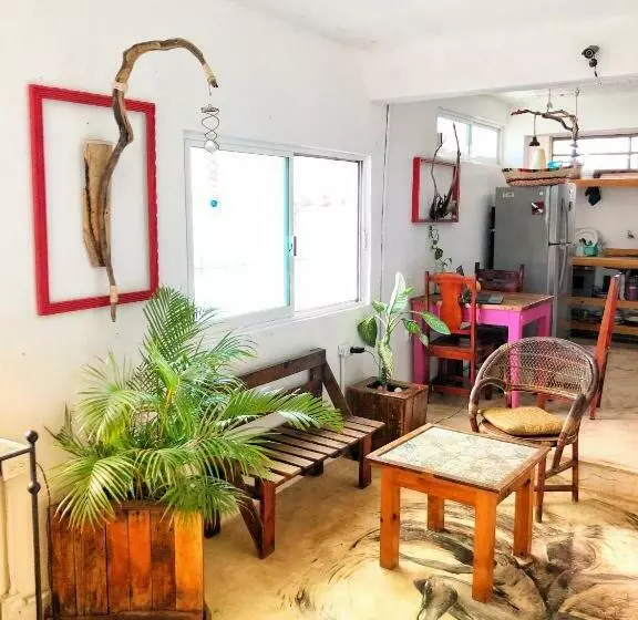 ペンション Mi Refugio Dive House