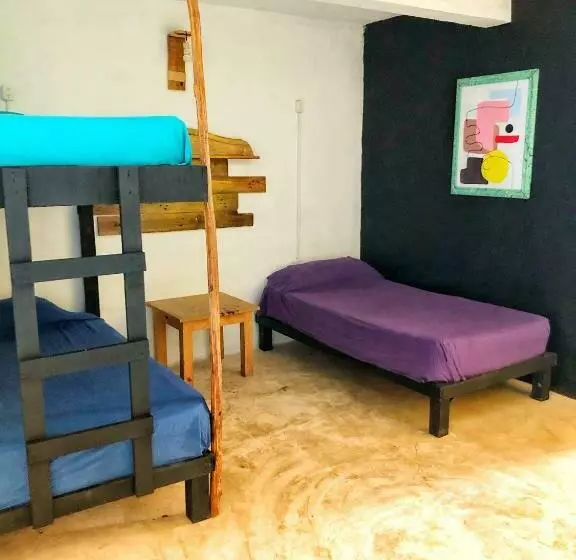 ペンション Mi Refugio Dive House