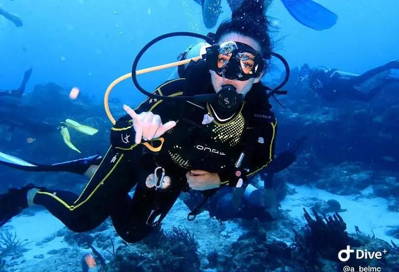 ペンション Mi Refugio Dive House