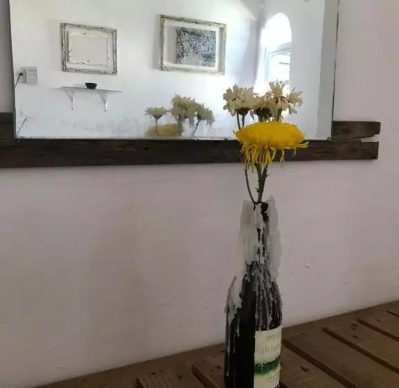 ペンション Mi Refugio Dive House