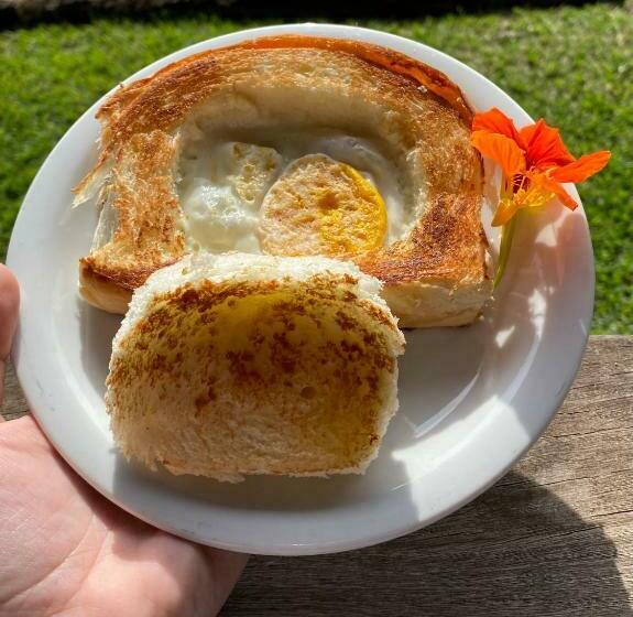 פנסיון Sítio Tamanduá