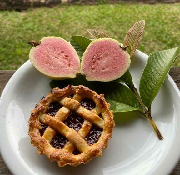 פנסיון Sítio Tamanduá