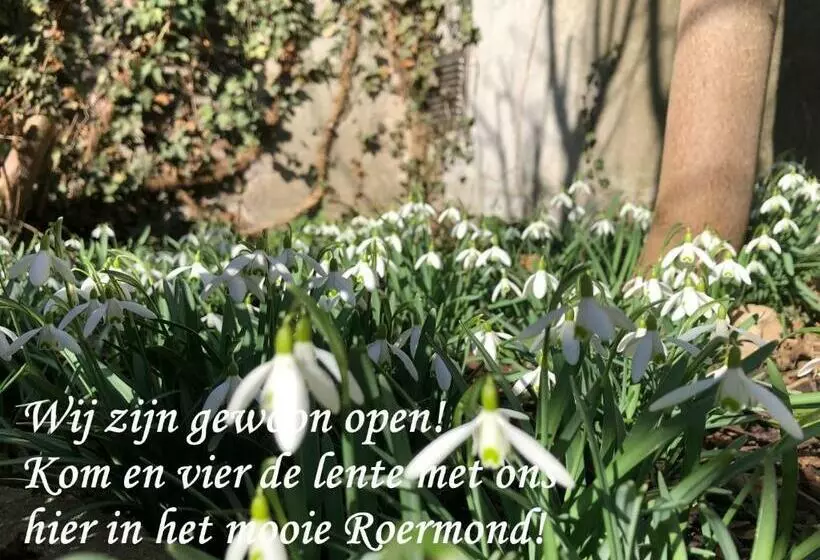Aamiaismajoitus (B&B) Bbdestaete