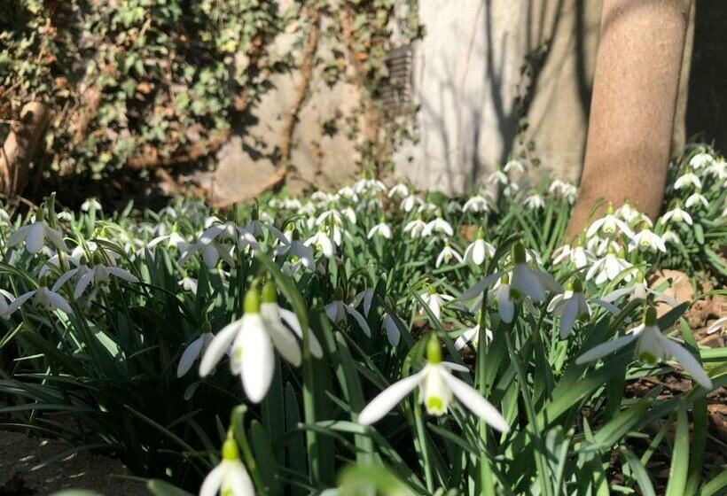 ベッドアンドブレックファースト Bbdestaete