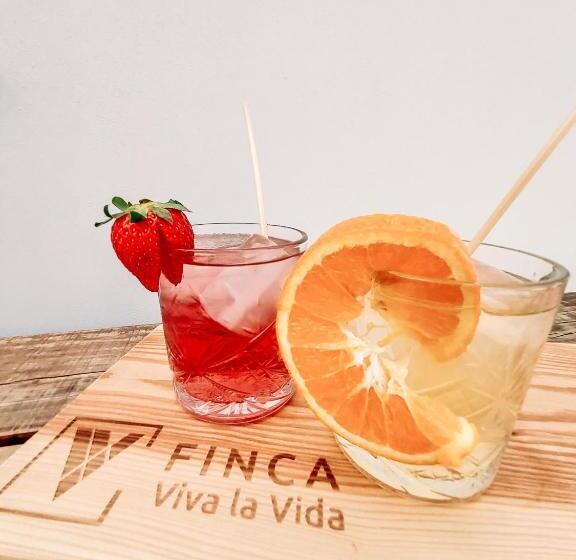 Bed and Breakfast Finca Viva La Vida