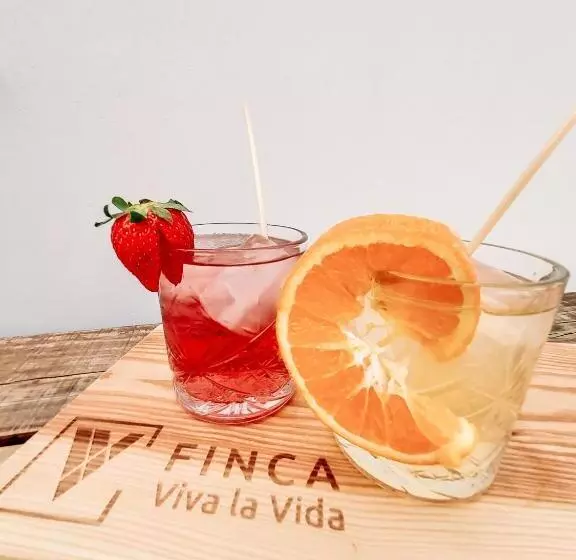 Aamiaismajoitus (B&B) Finca Viva La Vida