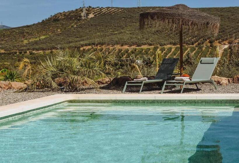 Bed and Breakfast Finca Viva La Vida