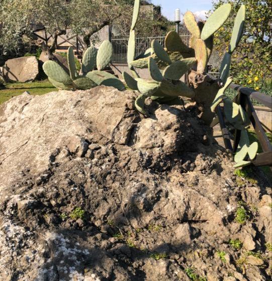 צימר Villa Grandiosa Fc