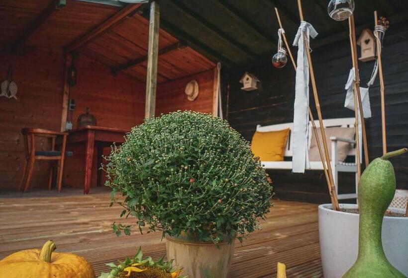 Bed & Breakfast Bloemen Vertellen