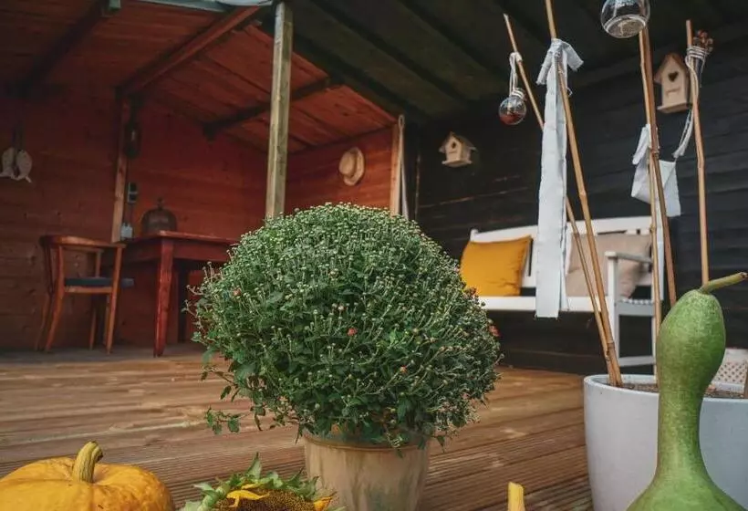 Bed & Breakfast Bloemen Vertellen