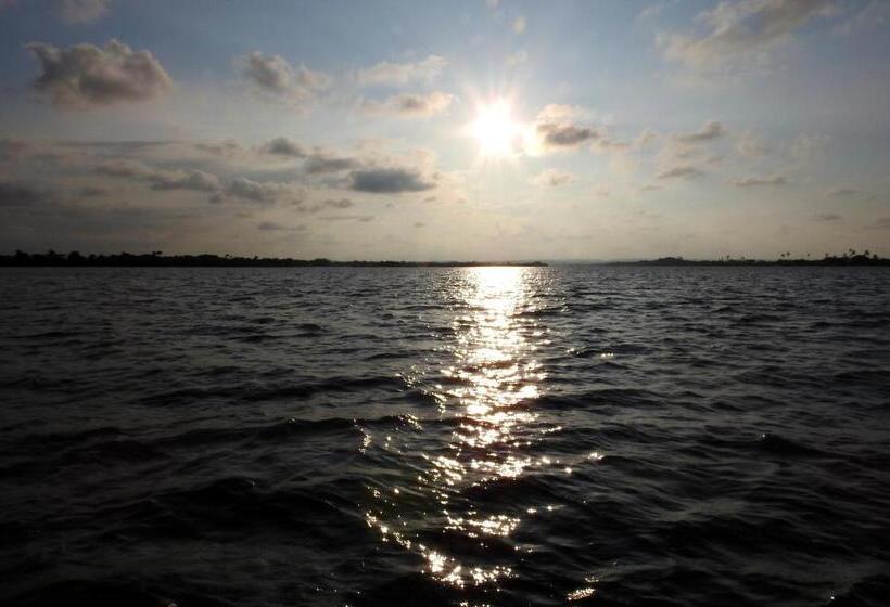 בית מלון כפרי Don Luis Hostal   Sucursal Hidalgo   Tecolutla