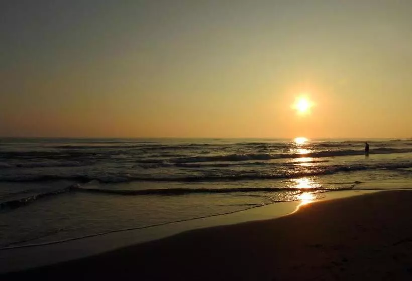 Hotelli Don Luis Hostal   Sucursal Hidalgo   Tecolutla