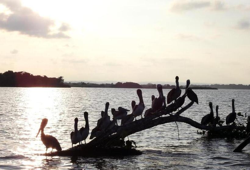 בית מלון כפרי Don Luis Hostal   Sucursal Hidalgo   Tecolutla