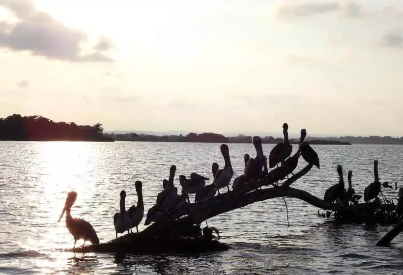 Hotelli Don Luis Hostal   Sucursal Hidalgo   Tecolutla