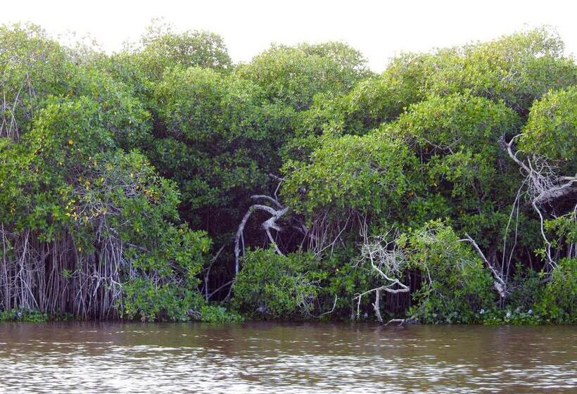 בית מלון כפרי Don Luis Hostal   Sucursal Hidalgo   Tecolutla